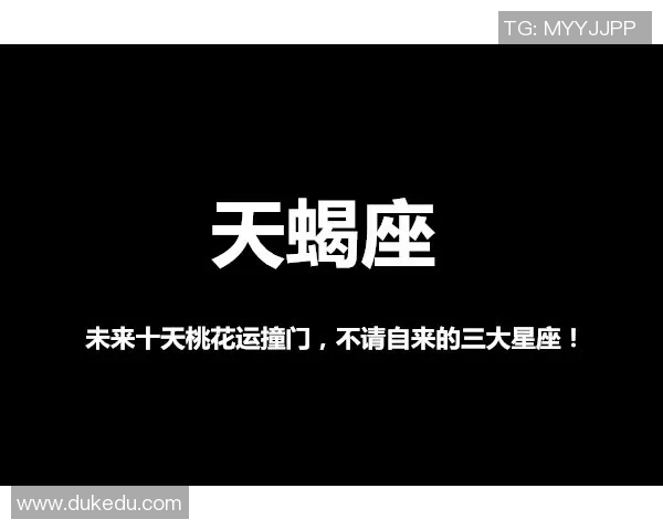 创造者与阿布扎比的较量：探讨文化碰撞与创新发展的未来之路