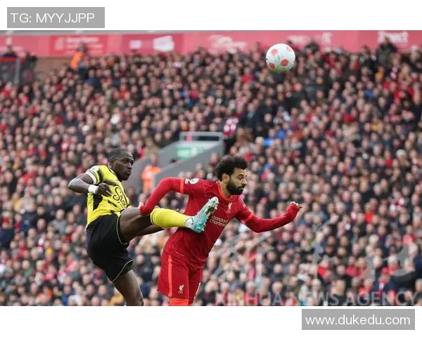 英超：曼联宣布与球员西索科解约，探讨背后的深层原因