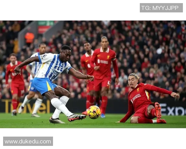 利物浦与布莱顿精彩对决全程直播无插件观看指南